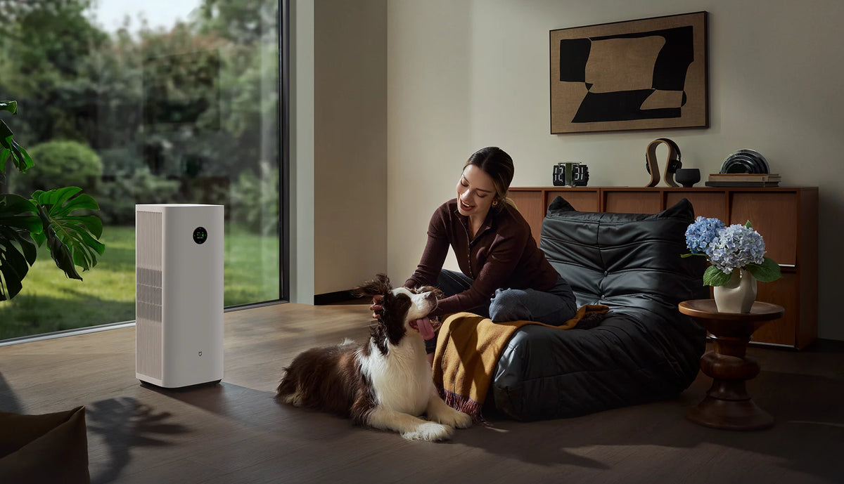 Man met hond op de bank, met de Xiaomi Mijia Smart Air Purifier 6 Plus bij het raam