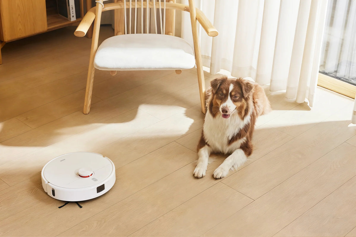 Hond ligt naast de Xiaomi Robot Vacuum H50 op een houten vloer