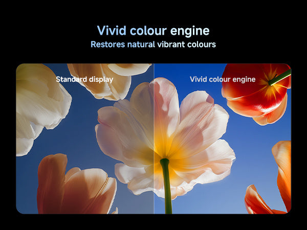 Xiaomi TV S Mini LED 75 Inch 2026