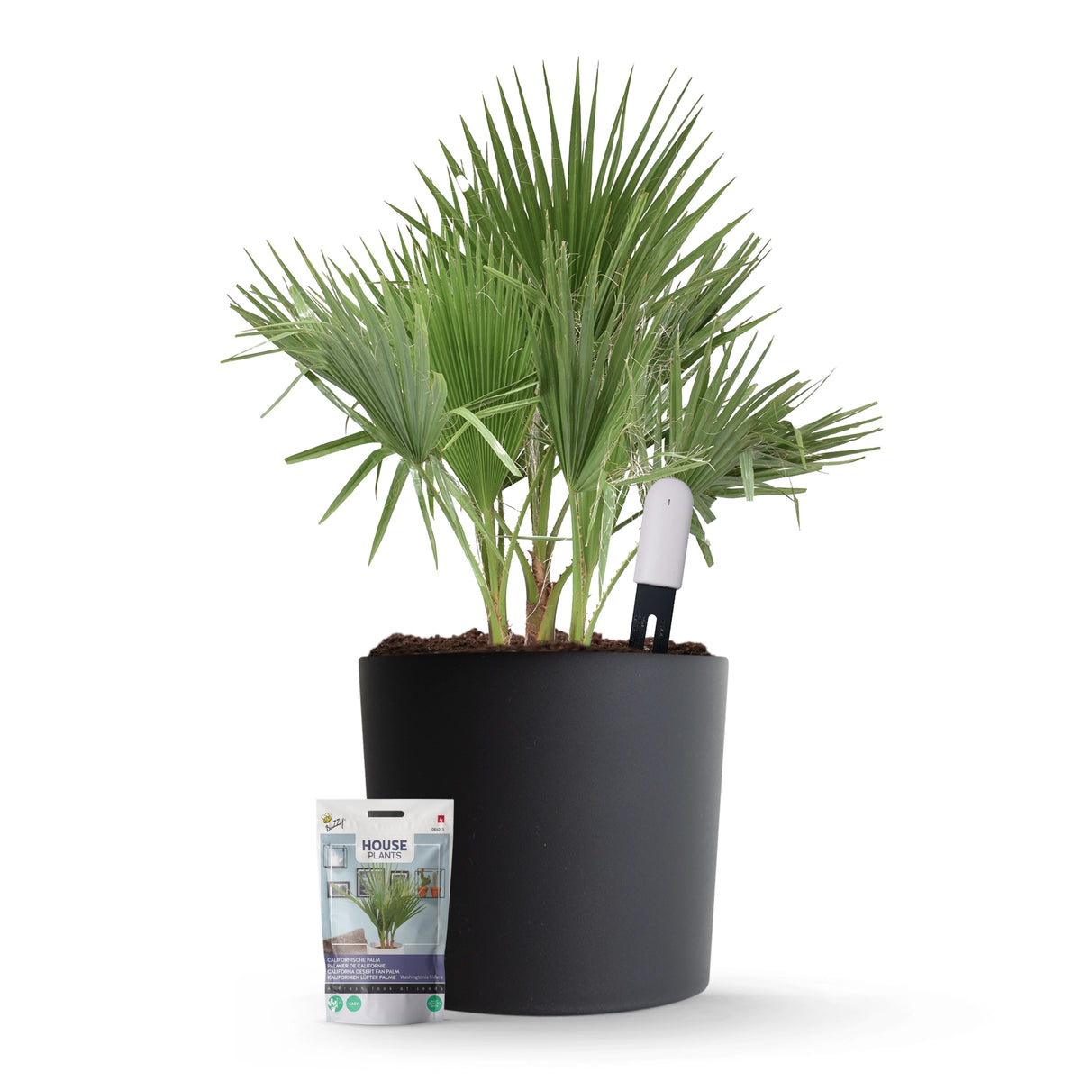 Kit de démarrage capteur de plantes Xiaomi