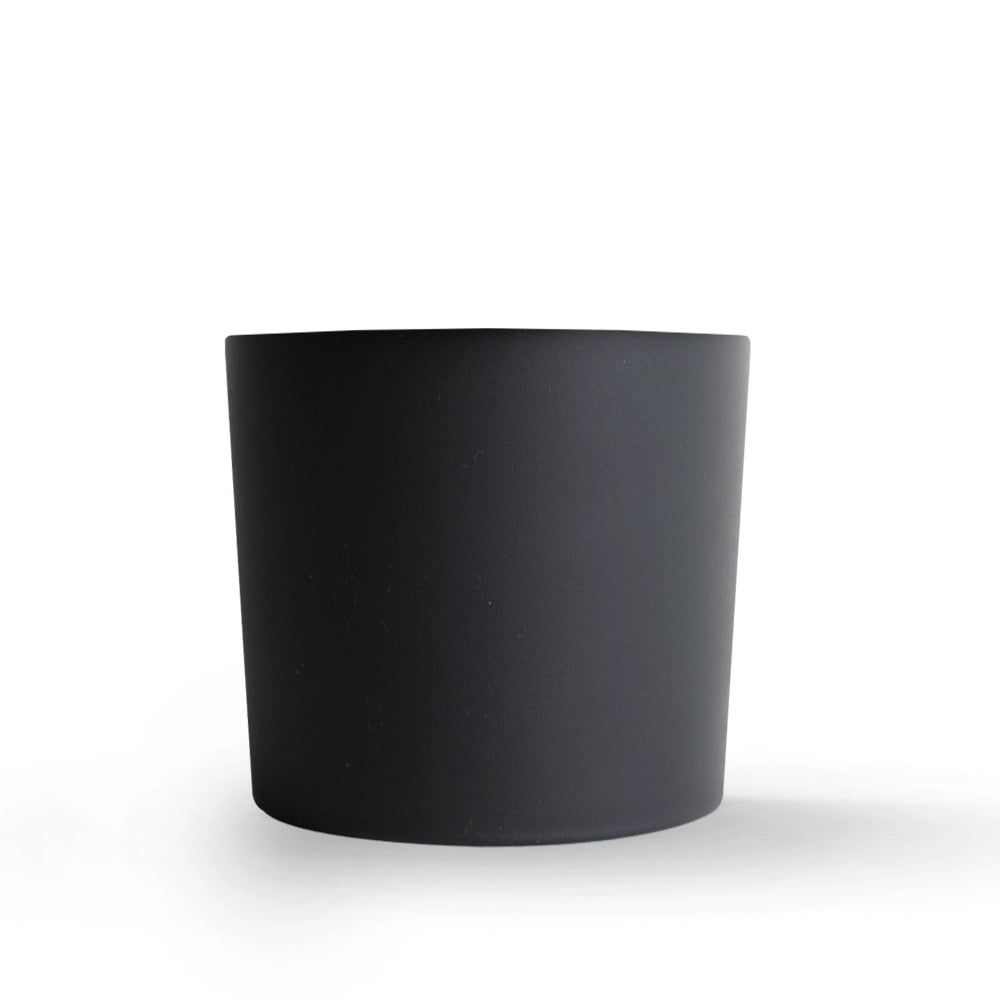 Kit de démarrage capteur de plantes Xiaomi