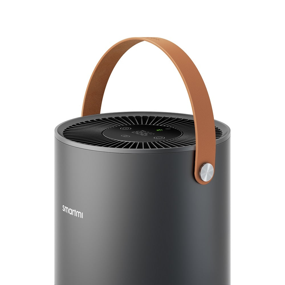 Xiaomi SmartMi Air Purifier P1