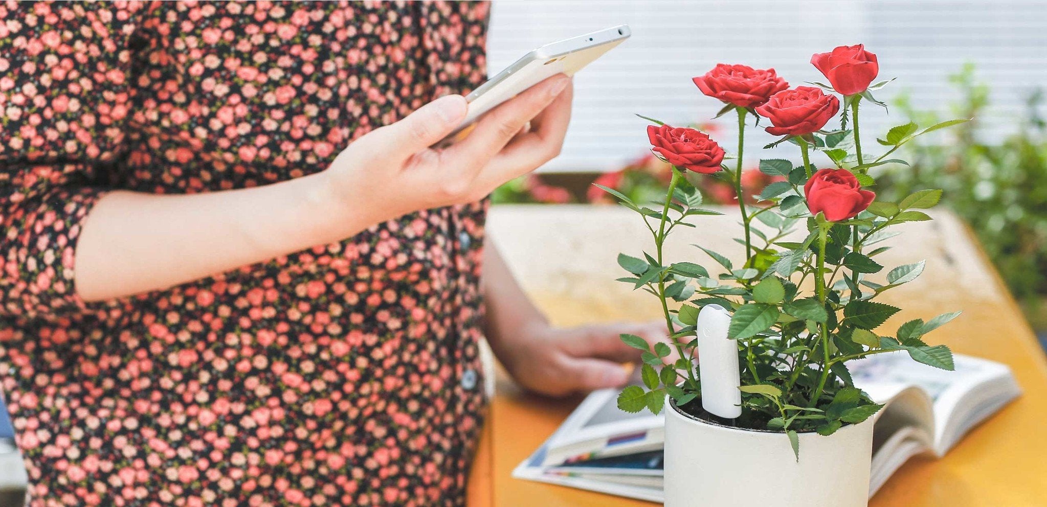 Xiaomi Mi Flower Care Pflanzensensor