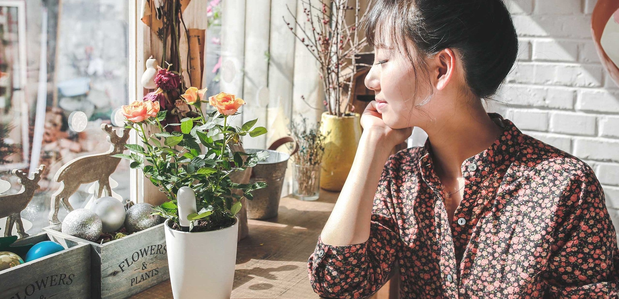 Xiaomi Mi Flower Care Pflanzensensor