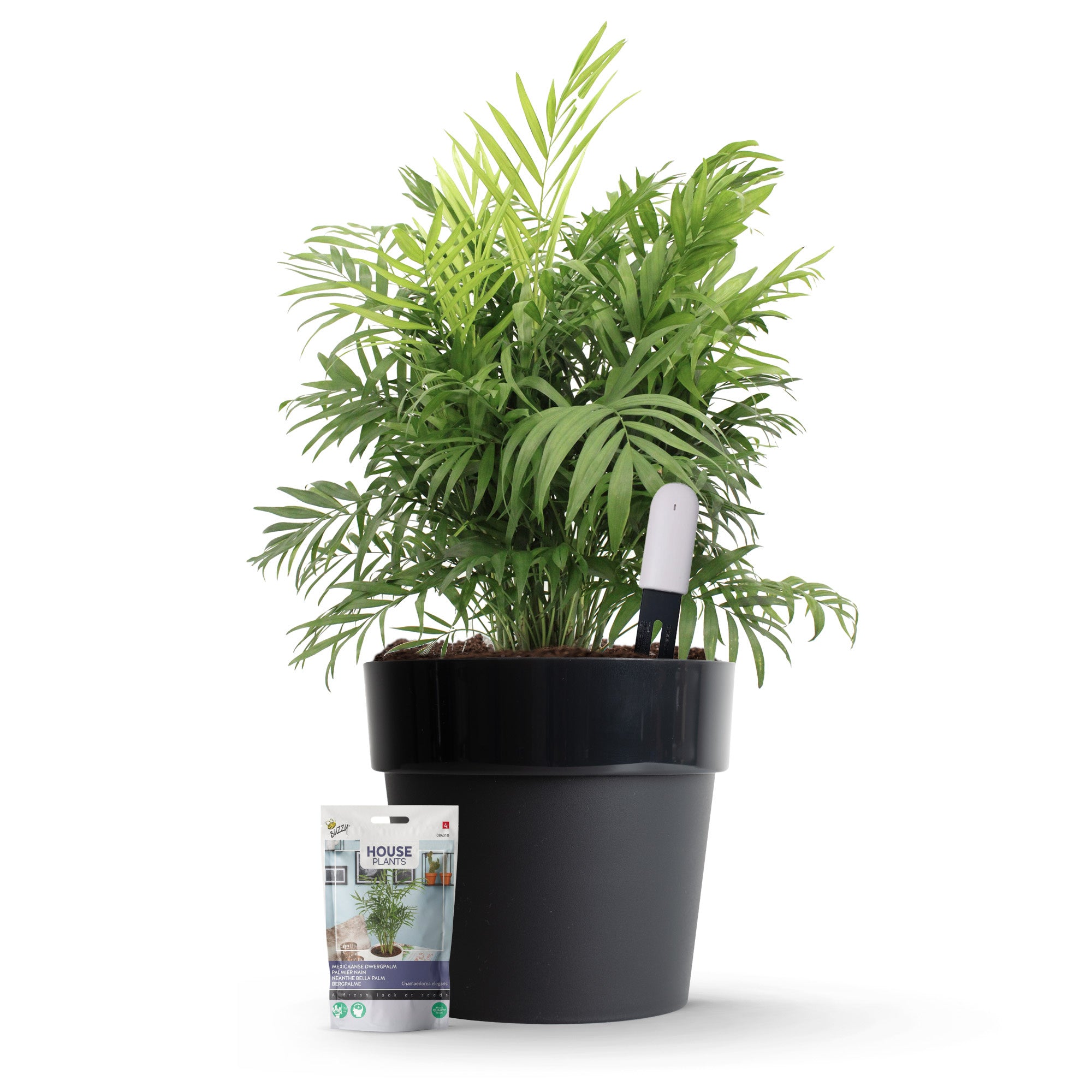 Kit de démarrage capteur de plantes Xiaomi
