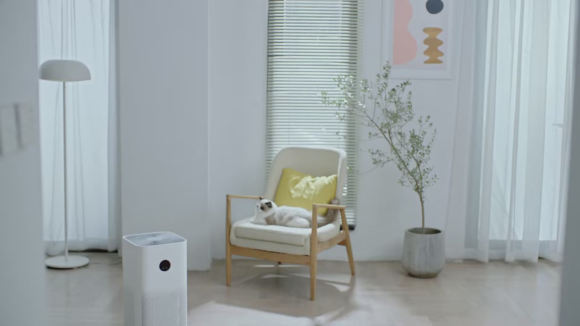 Video wird geladen: YouTube thumbnail: Xiaomi Purifier 4 Lite luchtreiniger compact design met "COMPACT" badge