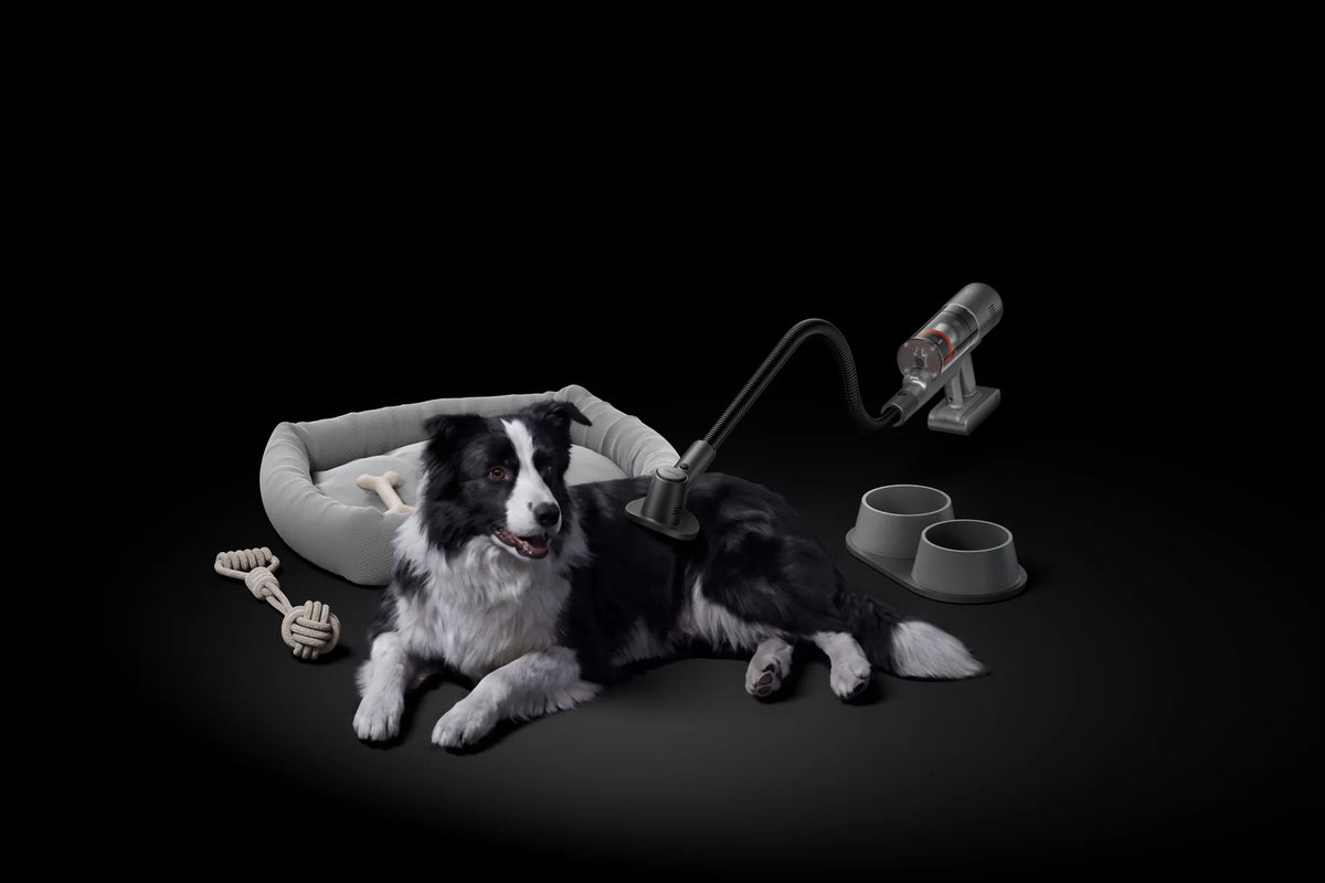 Xiaomi Mijia Vacuum Cleaner 4 Pro met de haarborstel bij een hond in zijn mand