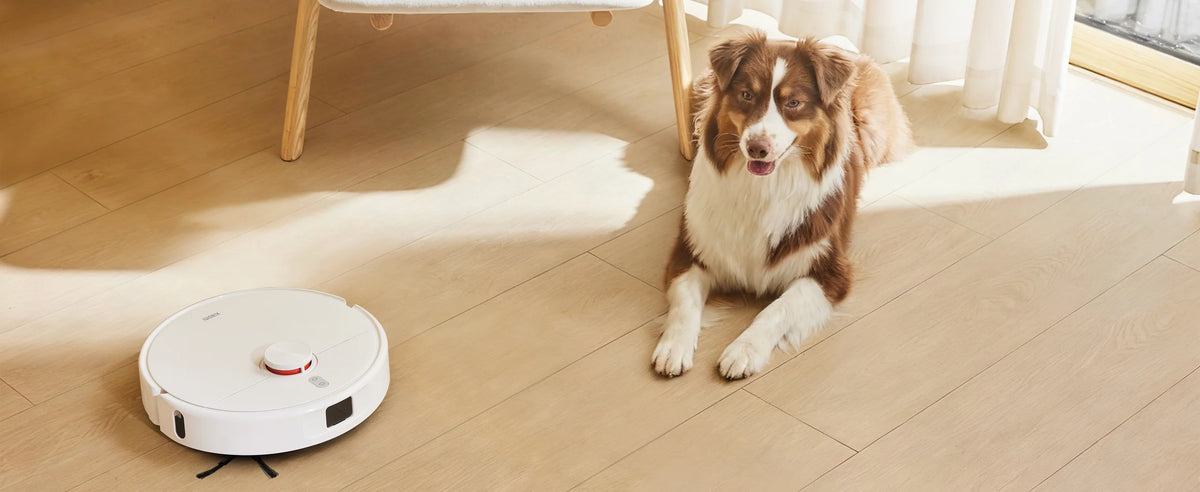 Xiaomi Robot Vacuum H50 op een houten vloer met een hond ernaast