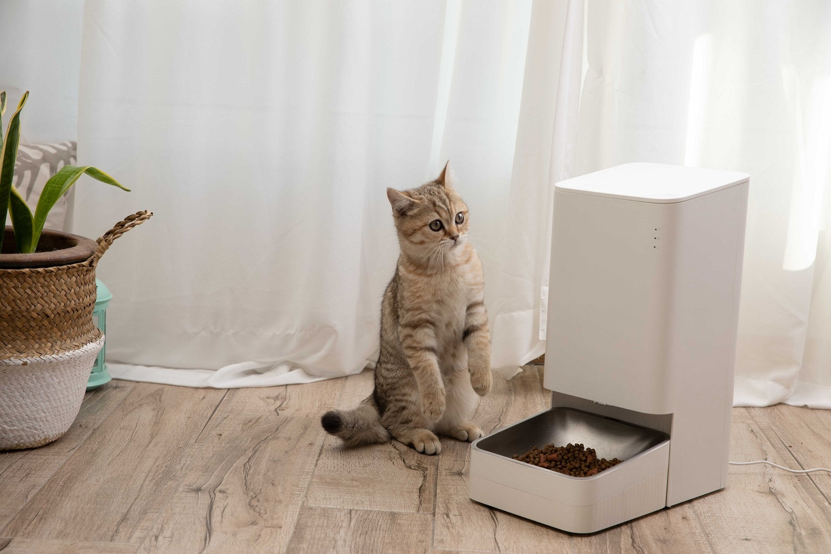 Xiaomi Smart Pet Food Feeder