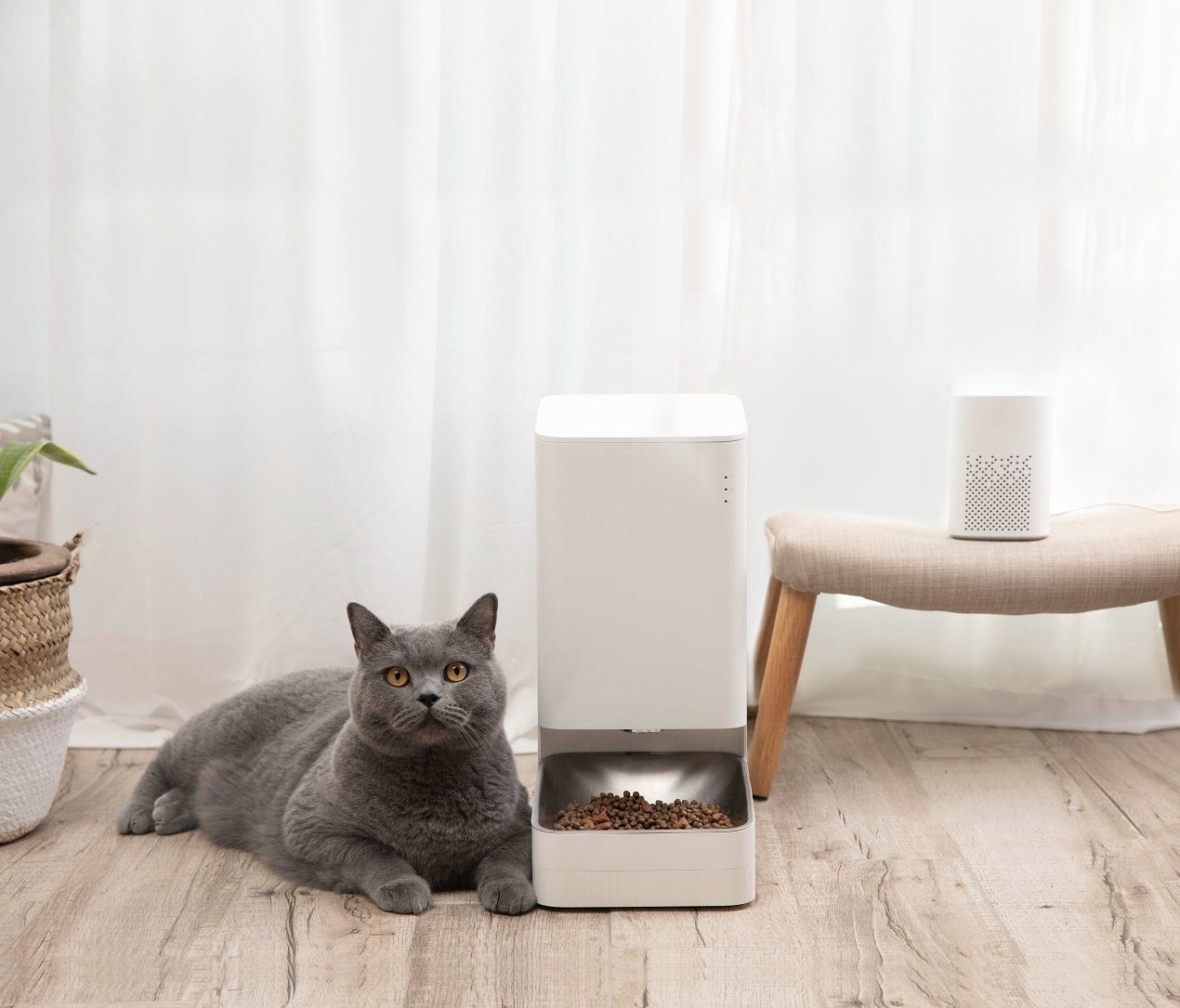 Xiaomi Smart Pet Food Feeder