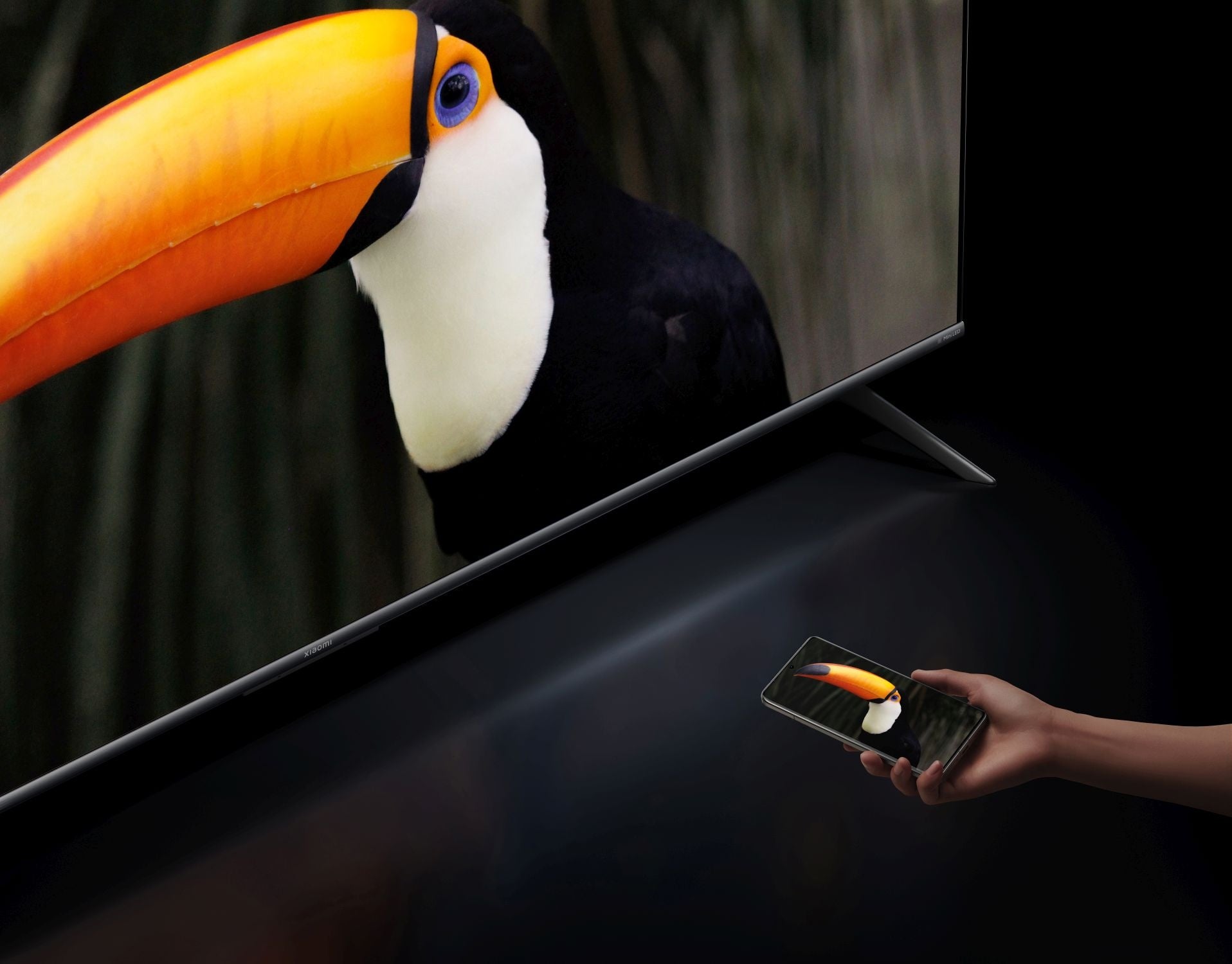 Xiaomi TV S Mini LED 65 Inch 2025 - TechPunt