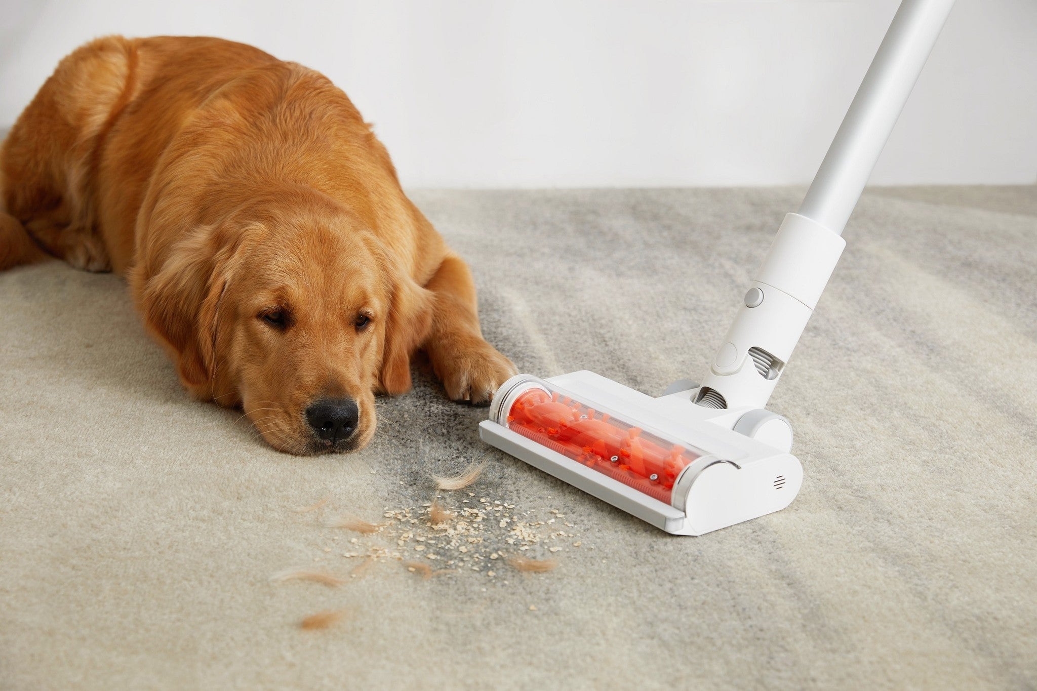 Xiaomi Vacuum Cleaner G11